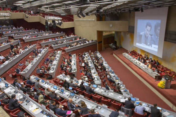 Negotiating the Minamta Convention